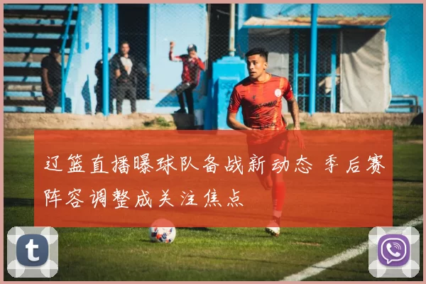 辽篮直播曝球队备战新动态 季后赛阵容调整成关注焦点