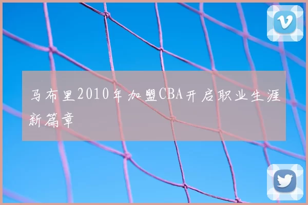 马布里2010年加盟CBA开启职业生涯新篇章