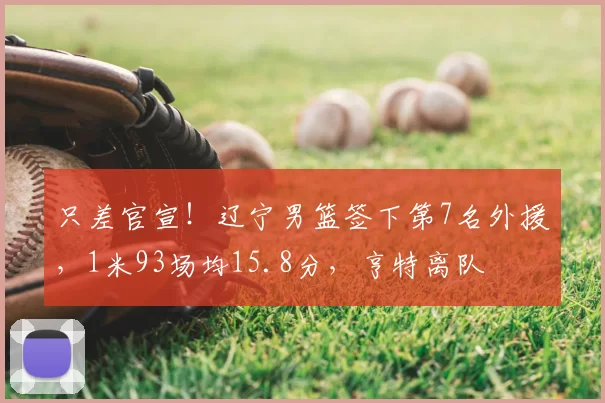 只差官宣！辽宁男篮签下第7名外援，1米93场均15.8分，亨特离队