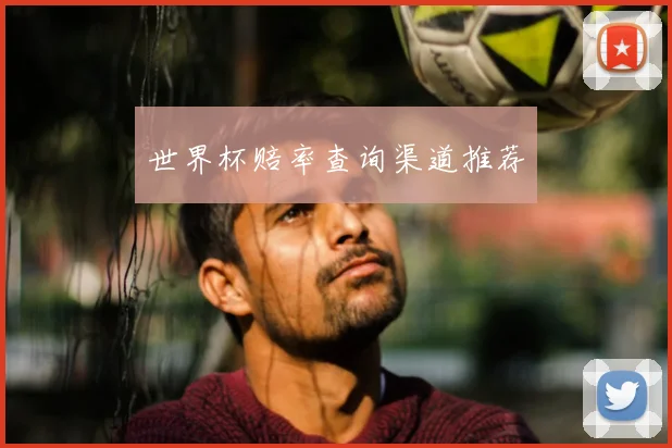 世界杯赔率查询渠道推荐