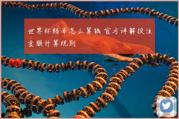 世界杯赔率怎么算钱 官方详解投注金额计算规则