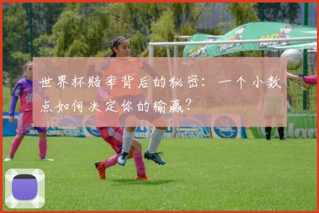 世界杯赔率背后的秘密:一个小数点如何决定你的输赢?