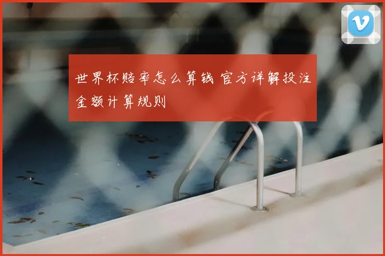 世界杯赔率怎么算钱 官方详解投注金额计算规则