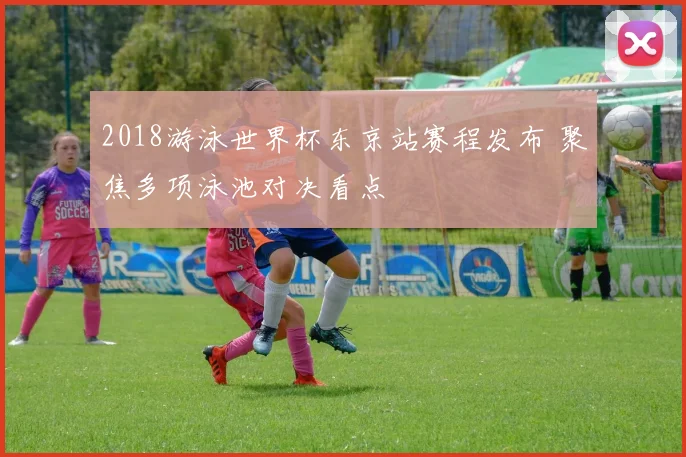 2018游泳世界杯东京站赛程发布 聚焦多项泳池对决看点