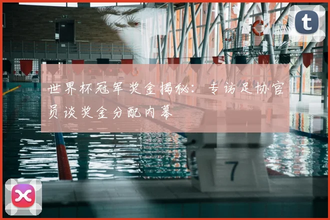 世界杯冠军奖金揭秘：专访足协官员谈奖金分配内幕